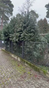 C76EB8B5-BCED-4996-A4E1-04E1EF6B0B43.mp4