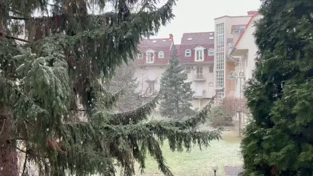 110B1F54-6EA1-491C-99AE-E5602DAEF1E9.mp4