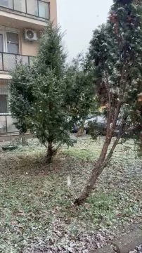 2D1A40A2-7B1A-4DEF-88E7-12C3D480D0B9.mp4