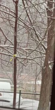 Újpalota sem marad ki