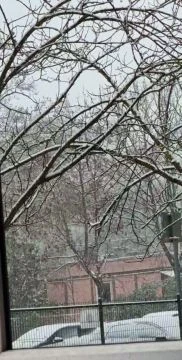 Újpalota sem marad ki 2