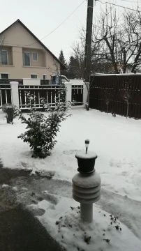 VID_20260203_124644.mp4