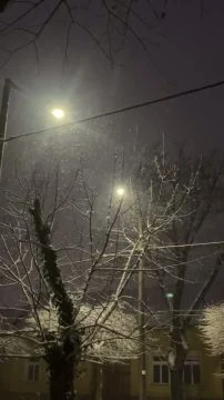 CF2F7006-147E-4B6D-9C64-60D079E37229.mp4