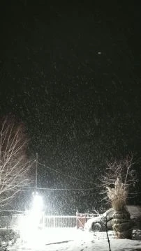 VID_20260203_175015~2.mp4