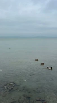 16BB9353-8E52-44B4-A26F-FE4675996318.mp4