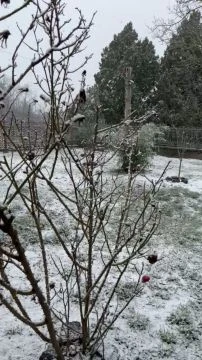 76756A5F-9693-4C3F-8B2C-5C3F27493D5A.mp4