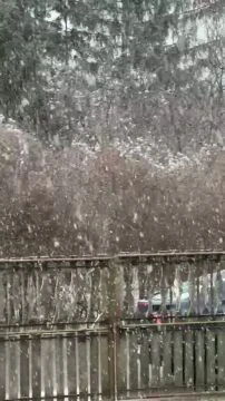 C58D8BF6-921D-4DD7-A514-87C9D76FEE41.mp4