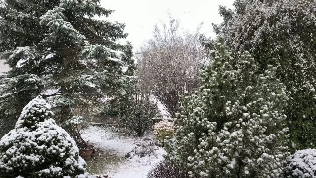 Havazik Várpalotán (2026.02.16.)