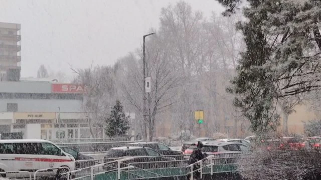 Kaposvári havazás (2026.02.16.)