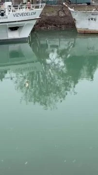 85733C21-C401-408A-B05A-1E2BDBCDD955.mp4