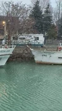 C64DAE72-4948-48E5-9445-DC30F271DA5D.mp4