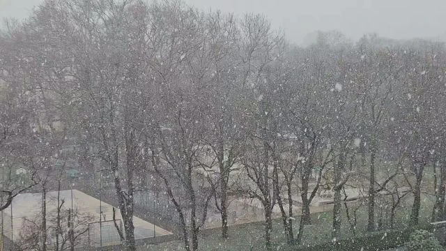 Intenzív havazás kezdődött a fővárosban