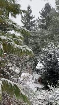 C0D10DCA-89B8-45ED-95D1-9BC3B1FBB89B.mp4