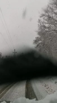 VID20260219164135.mp4