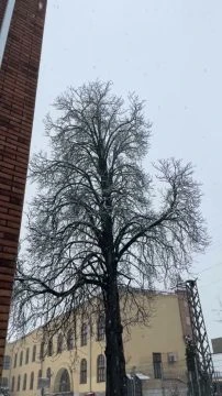 0C6C8E7C-672C-4EA1-886C-FFFBD4CFBBFC.mp4