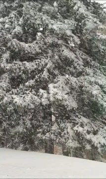 Intenzív havazás Szombathelyen 02.20.