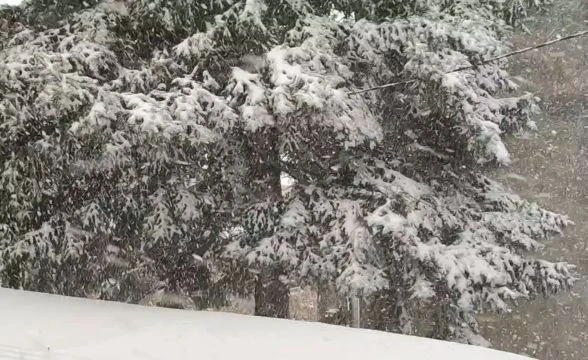 Intenzív havazás Szombathelyenen