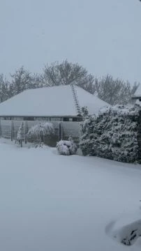 77F55DA7-6A02-4C79-A6BB-F6CBCE07F65A.mp4