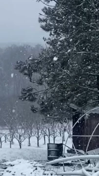 8E4537A4-EE35-4D20-9559-712BEF5195C5.mp4