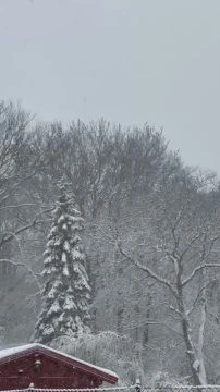 37D9BC62-B6DD-47C5-8D4F-091A62349E35.mp4