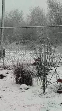 Messenger_creation_87F03D69-EF4E-460E-AA5F-0E758B712A17.mp4