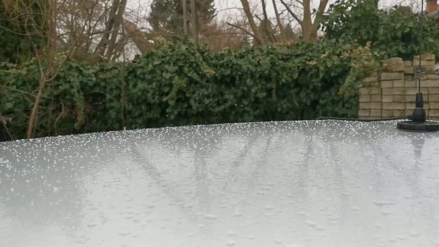 VID_20260220_145631.mp4