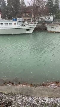 DB3E1B51-EAC9-4FDC-BB98-78E1F3F14095.mp4