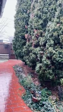 72D7BEC9-C894-468C-BEC0-2CA5C2669A1C.mp4