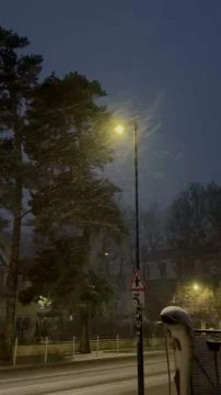 A3AFC8A5-25CC-4C23-9185-12218F16A94D.mp4