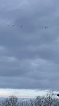 Darvak téli vonulása, Tiszalök