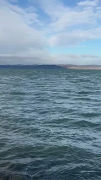 8EDF99EC-B018-4326-A8C1-B033F21B2C0B.mp4