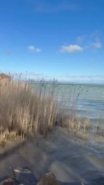 EA2EB7A8-0040-4E41-B839-9499D656C60A.mp4