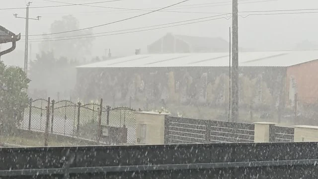 1000013512.mp4