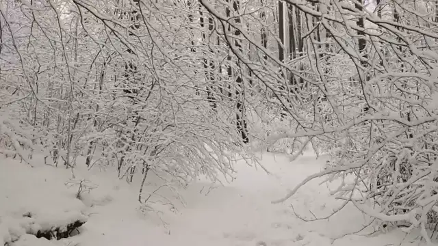 Hóvadászaton - útban Nagy-Hideg-hegy felé