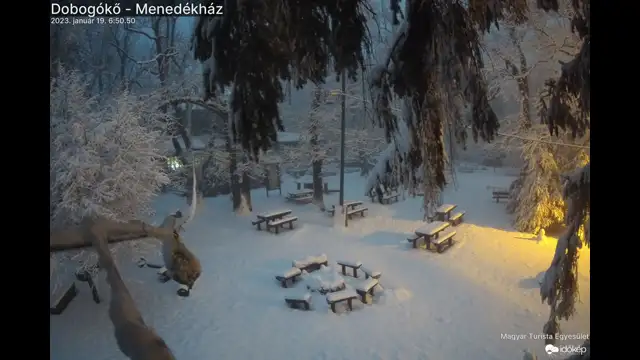 Hajlanak a fák a hó súlya alatt 20230119