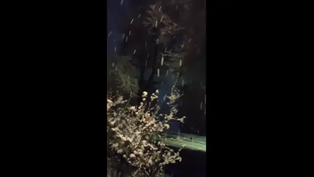 Szépen kifehéredett Komló