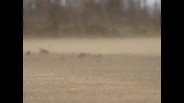 Porvihar a Bakonyalján