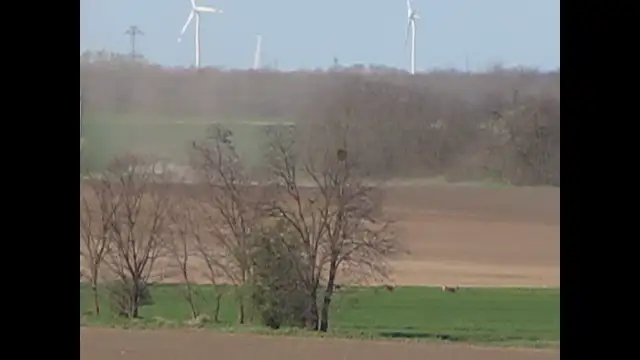 Porördög a Bakonyalján (Deák István felvétele Császárról)