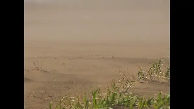 Porvihar Császár mellett