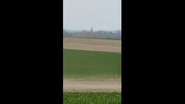 Porördög a Bakonyalján (2.)