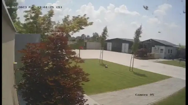 Porördög kavarta fel egy udvar nyugalmát