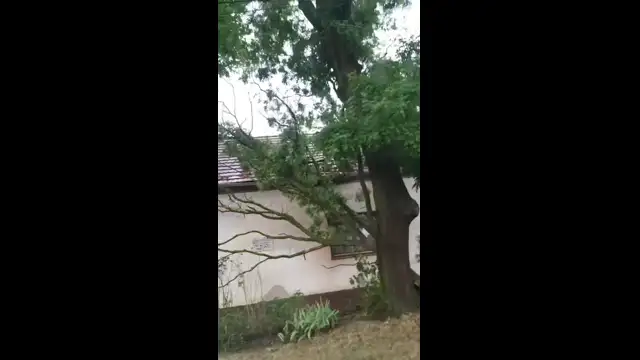 Viharkárok Külsővaton