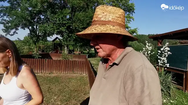 A teknősök és az időjárás előrejelzése