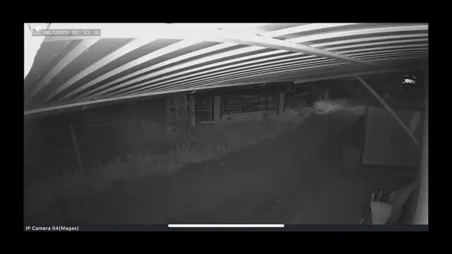 Hangos robajjal rengett a föld