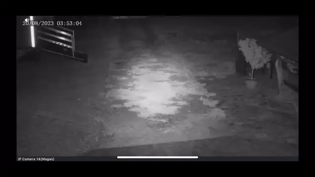 Beleremegett a kamera