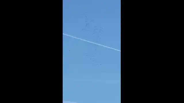 Darvak vonulása október 23-án