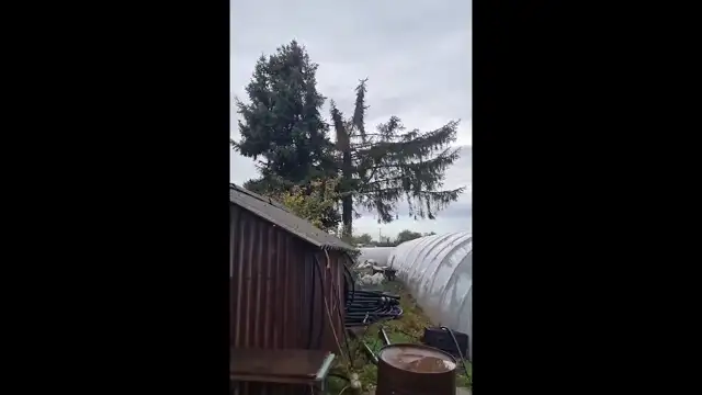 Tornádó pusztítása Szentes közelében