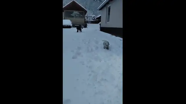 Így örültek a gyerekek a reggeli hónak