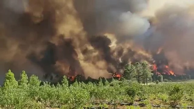 Erdőtűz Portugáliában