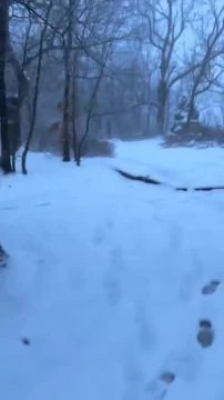 Megérkezett a tél Dobogókőre